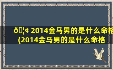 🦢 2014金马男的是什么命格(2014金马男的是什么命格 🦅 的)